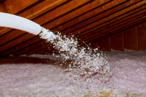 Best Affordable Insulation Services  in Almedia, PA